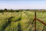 Border Fence 8.09 (Medium)
