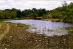 Sulphur Pond 9.07