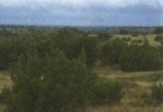 Turkey Pasture Funk Ranch