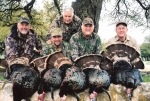 turkey - website 001