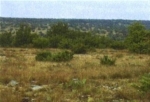 Funk Ranch Pic Real Estate Medium