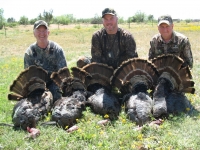 Lynn,Donald,Nathan (Medium)