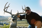 whitetail pics- website 008 Medium