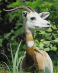 Dama Gazelle (Medium)