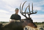 whitetail pics- website 007 Medium